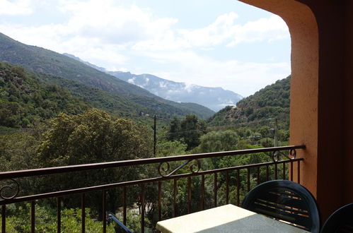 Photo 5 - Appartement en Serriera avec piscine et terrasse