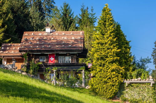 Foto 35 - Casa de 5 quartos em Sarnen com piscina privada e jardim