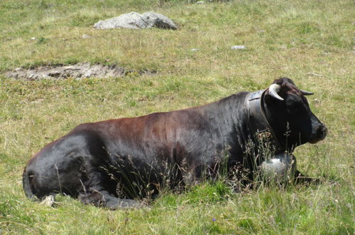 Foto 39 - Appartamento con 1 camera da letto a Saas-Fee con sauna e vasca idromassaggio