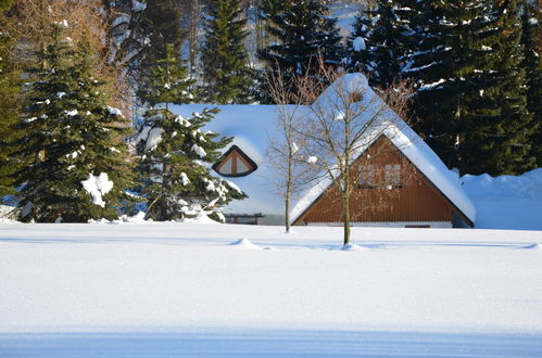 Foto 32 - Casa con 2 camere da letto a Vítkovice con vista sulle montagne