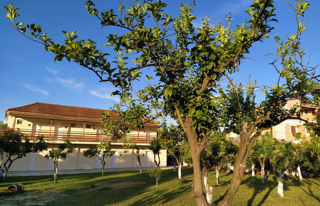 Ever Green - Foto 8