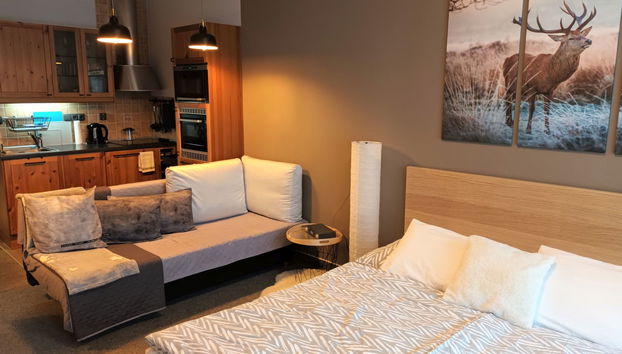 Appartamento con 1 camera da letto a Harrachov con terrazza - Foto 4