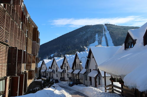 Photo 18 - Appartement en Harrachov avec terrasse