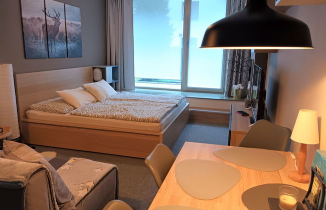Apartamento de 1 quarto em Harrachov com terraço - Foto 6