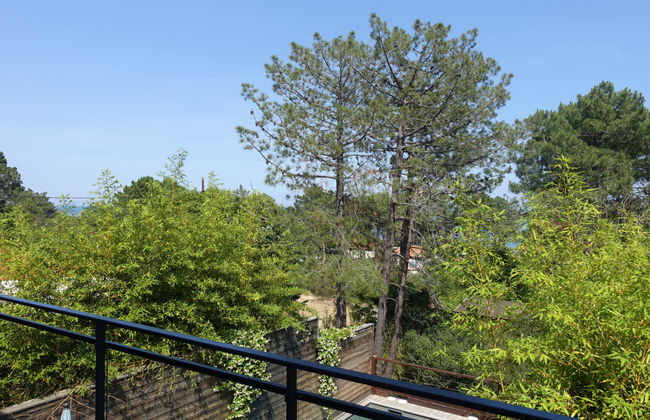 Apartment mit 3 Schlafzimmern in Sari-Solenzara mit privater pool und garten - Foto 1