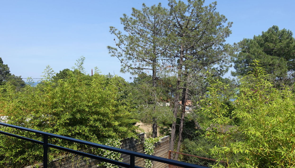 Appartement de 3 chambres à Sari-Solenzara avec piscine privée et jardin - Photo 1