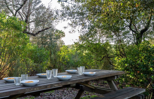 Haus mit 6 Schlafzimmern in Lacanau mit garten und terrasse - Foto 16