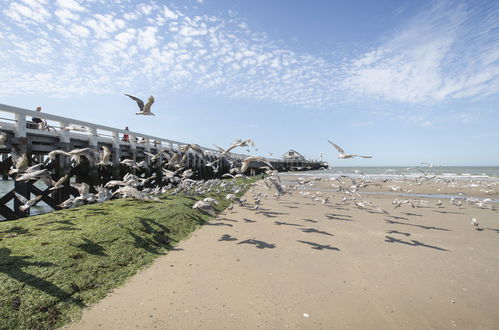 Foto 30 - Appartamento con 2 camere da letto a Blankenberge