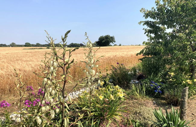 "Asya" - 600m from the sea - Foto 5