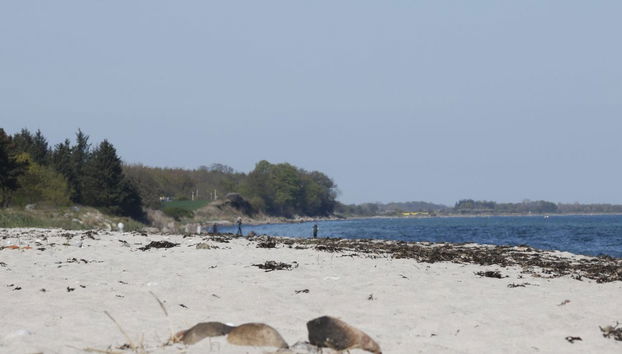 Casa de 3 quartos em Tranekær com terraço - Foto 3