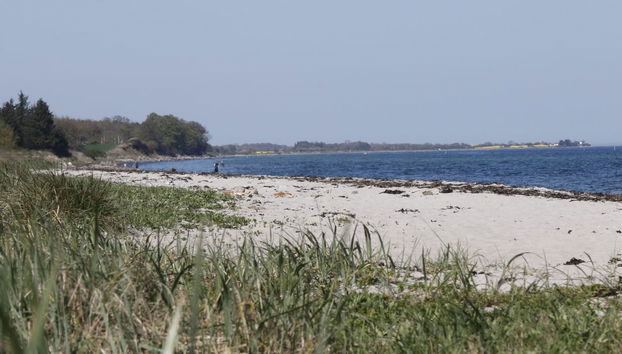 Casa de 3 quartos em Tranekær com terraço - Foto 4