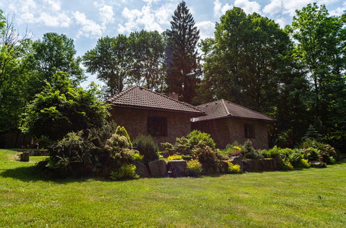 Foto 44 - Haus mit 4 Schlafzimmern in Člunek mit garten und terrasse