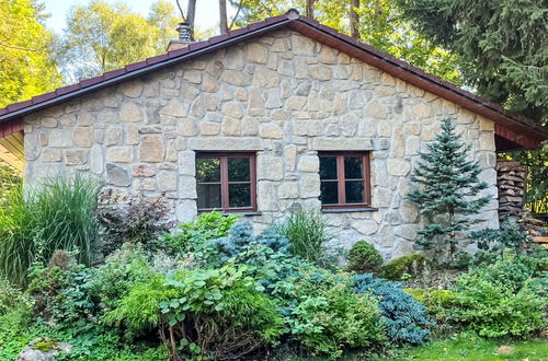 Foto 46 - Casa de 6 quartos em Člunek com piscina privada e jardim