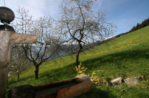 Foto 4 - Appartamento con 2 camere da letto a Fügenberg con giardino e vista sulle montagne