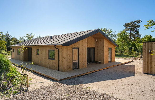 "Ileana" - from the sea - Photo 4