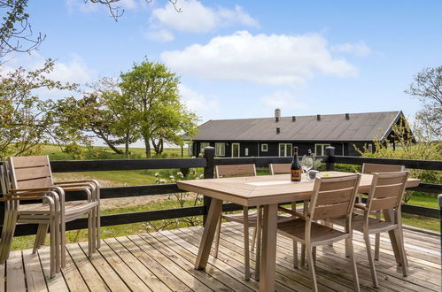 Photo 20 - Maison de 3 chambres à Ebeltoft avec terrasse et sauna