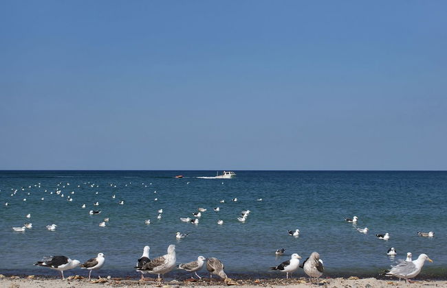 "Fani" - 200m from the sea - Foto 30