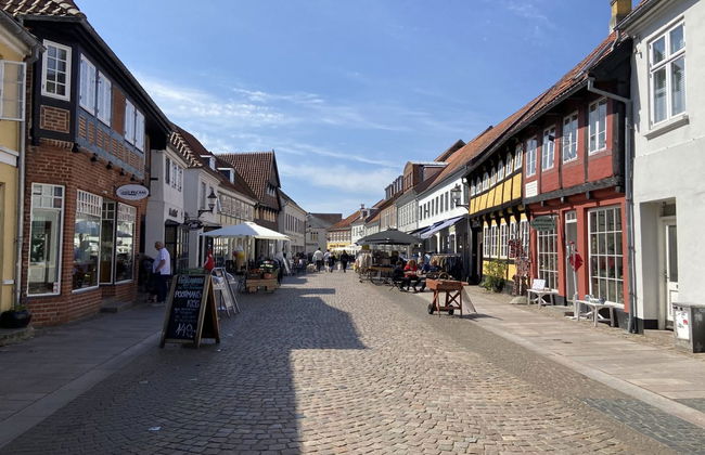 Haus mit 1 Schlafzimmer in Ribe mit terrasse - Foto 7