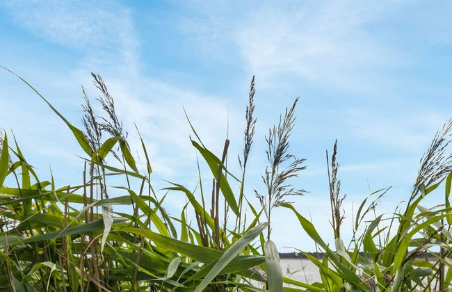 "Julietta" - 50m from the sea - Foto 3