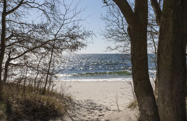 "Gottfrieda" - 300m from the sea - Foto 24