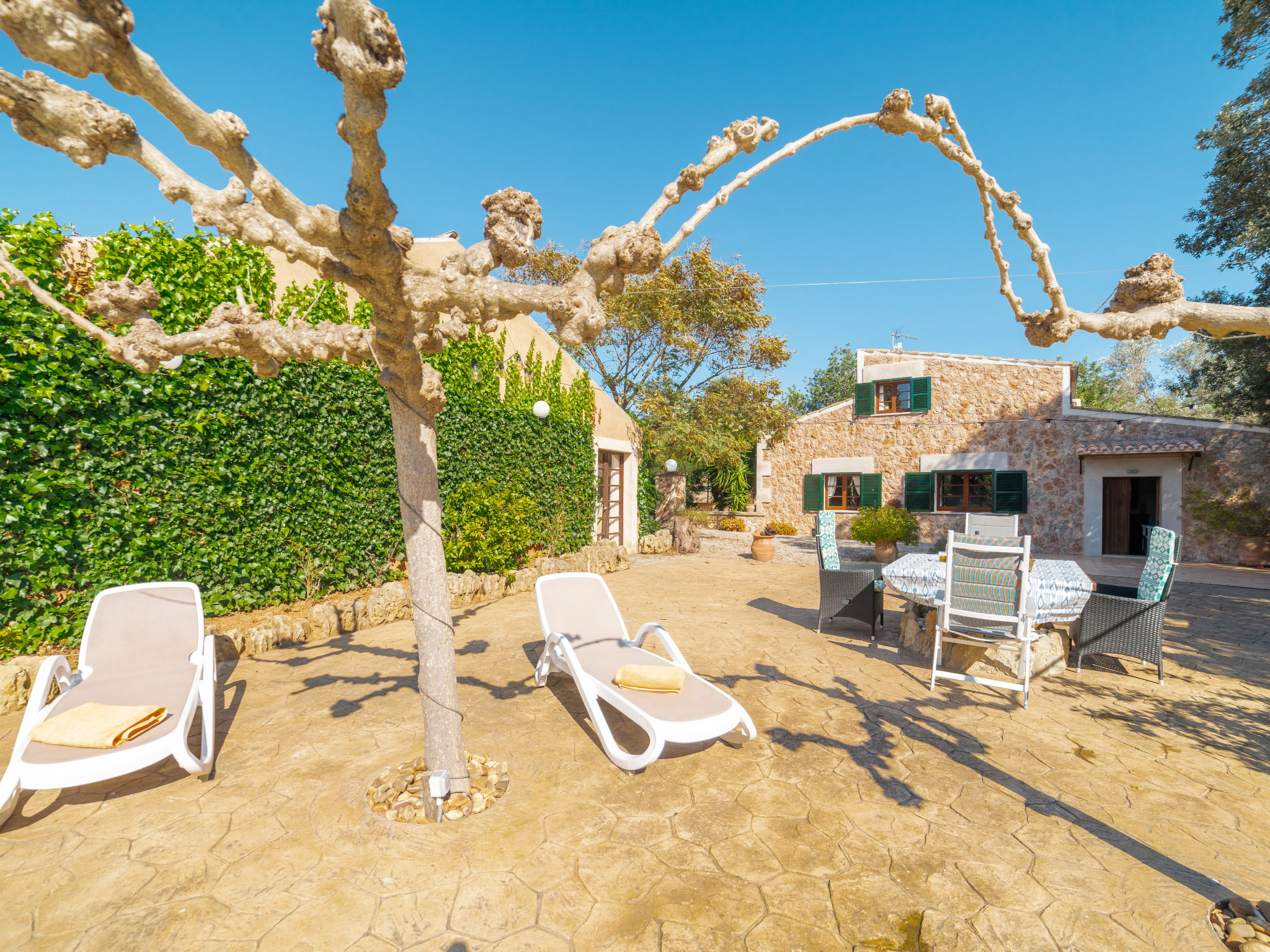 Photo 26 - Maison de 1 chambre à Alcúdia avec piscine privée et vues à la mer