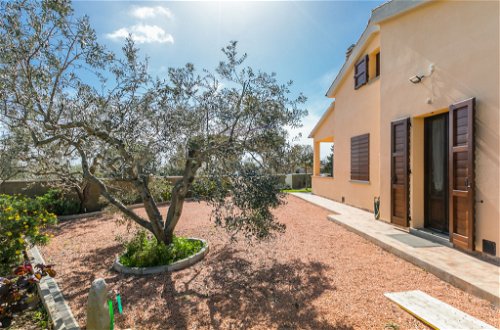 Photo 64 - 4 bedroom House in Riparbella with private pool and garden