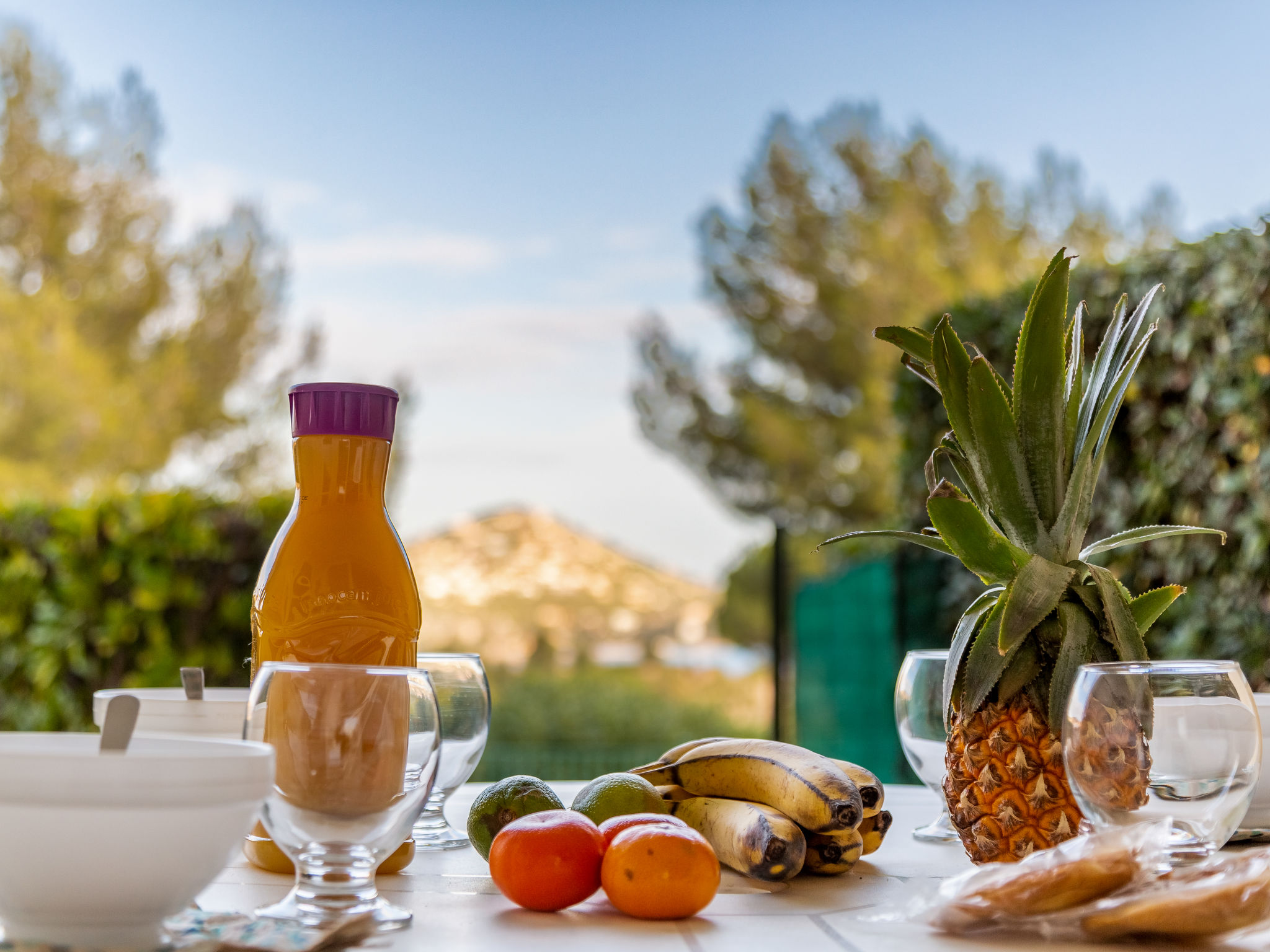 Foto 4 - Appartamento con 1 camera da letto a Saint-Raphaël con piscina e vista mare