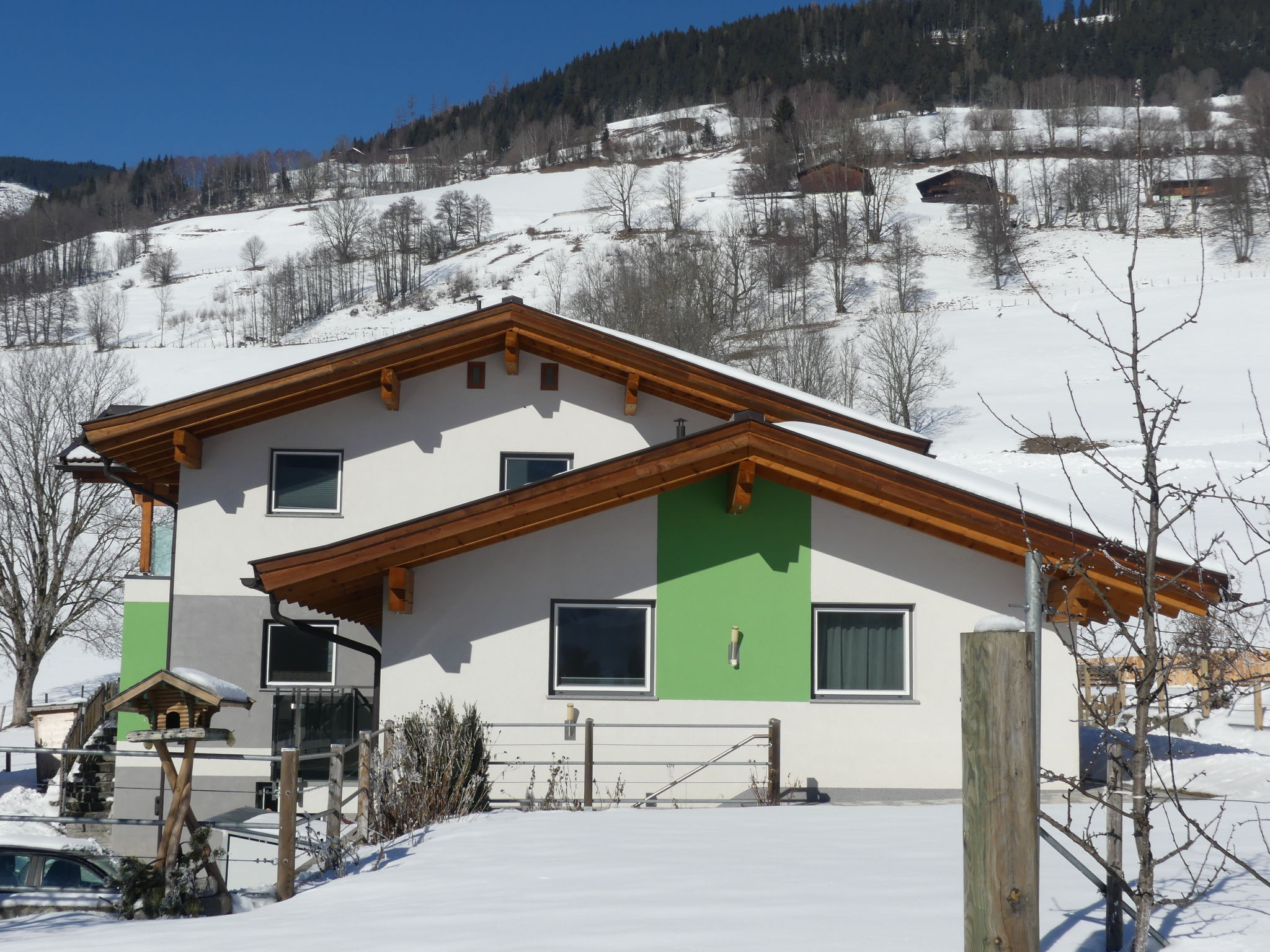 Photo 6 - Appartement de 3 chambres à Piesendorf avec jardin et vues sur la montagne