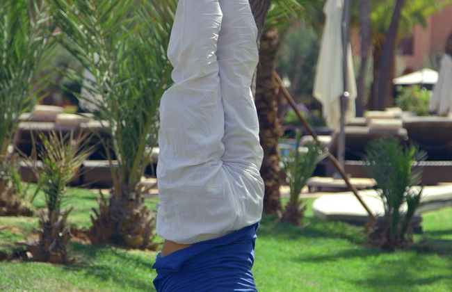 Les Jardins De Zyriab - Foto 27