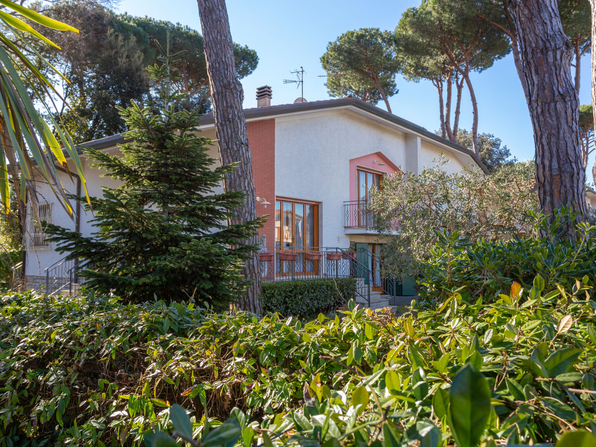 Photo 1 - Maison de 3 chambres à Pietrasanta avec jardin et vues à la mer