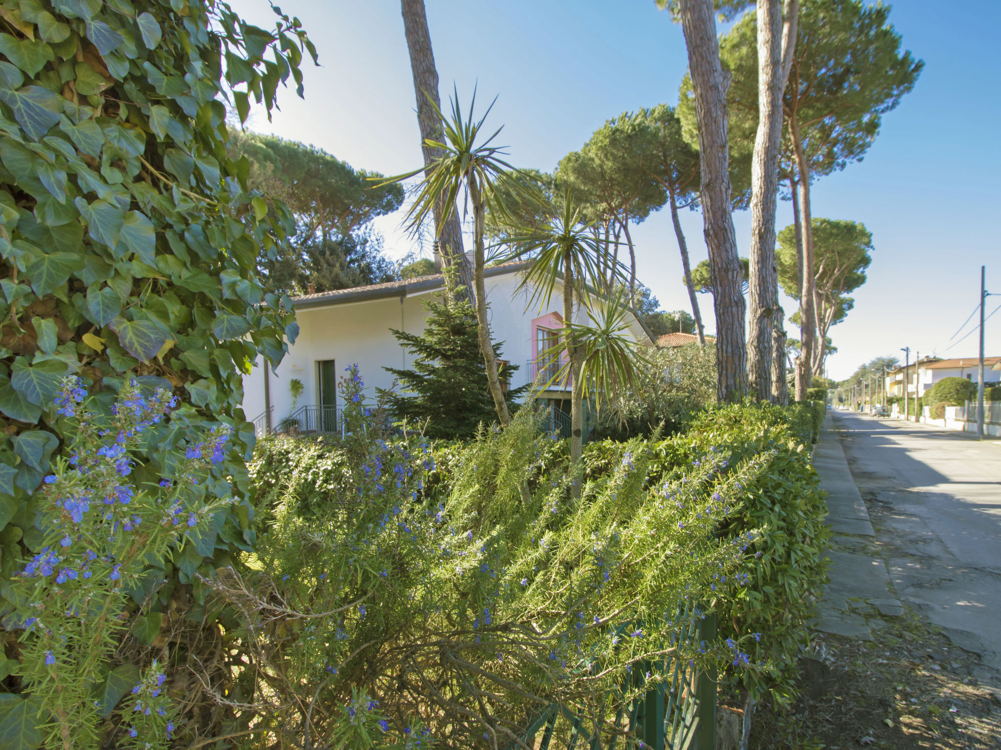 Photo 22 - Maison de 3 chambres à Pietrasanta avec jardin et vues à la mer