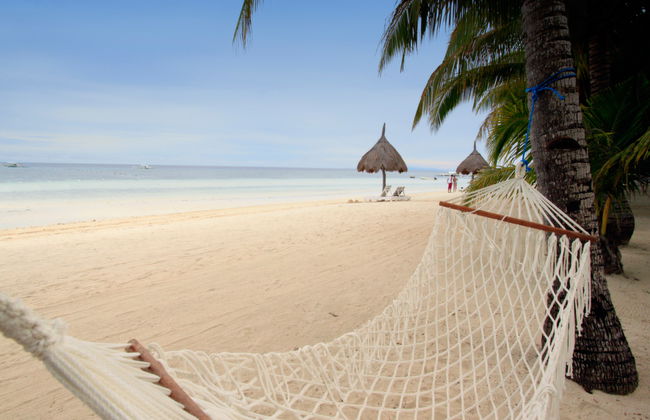 Discover Bohol - Private Tour - Photo 3