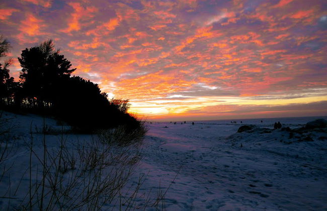 Excursión a Jurmala - Foto 3