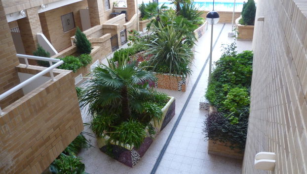 Apartamentos Marina D'or 3000 - Foto 3