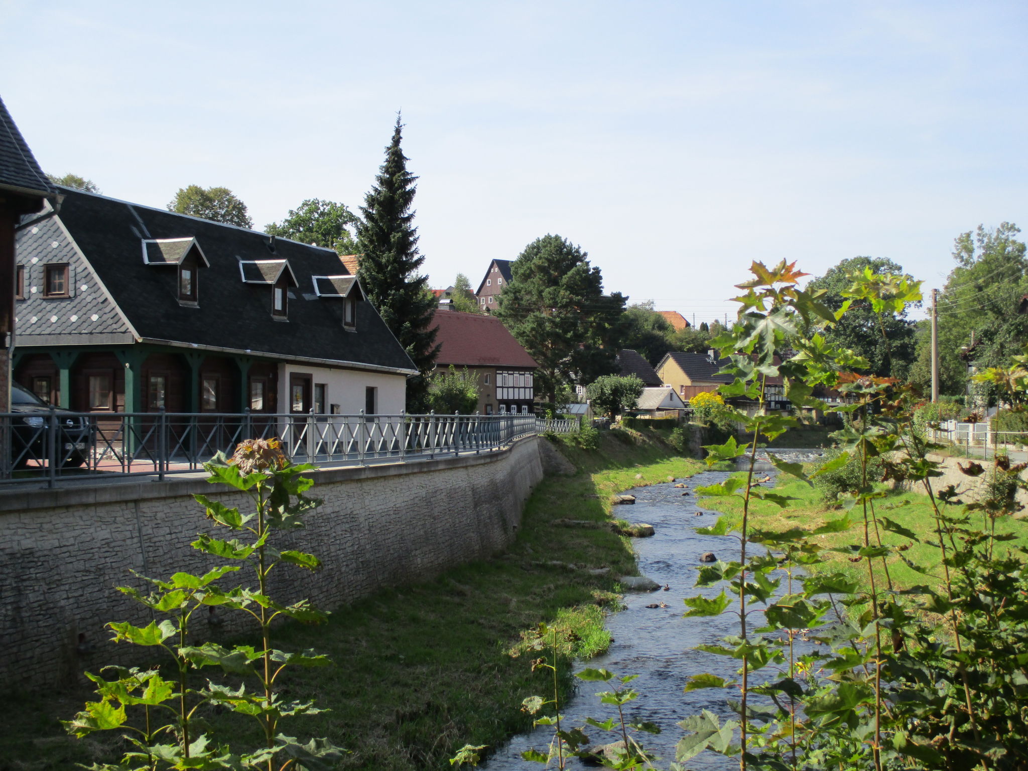 Foto 32 - Casa de 2 quartos em Großschönau com jardim e terraço