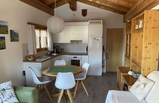 Apartamento de 2 quartos em Schmitten com jardim - Foto 2
