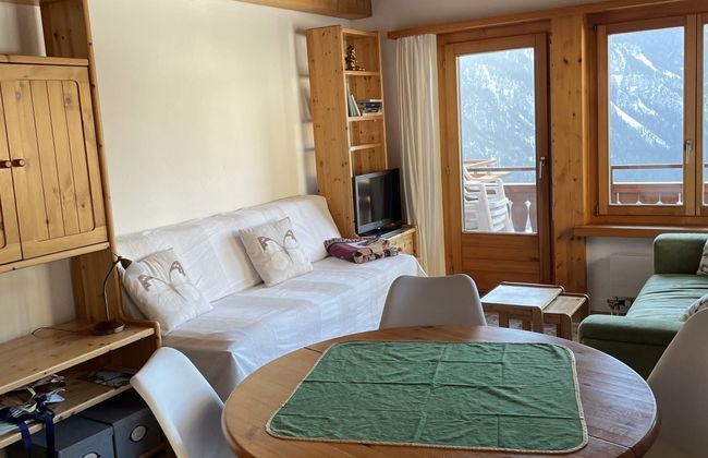Apartamento de 2 quartos em Schmitten com jardim - Foto 9