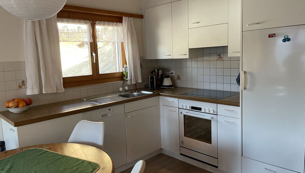 Apartment mit 2 Schlafzimmern in Schmitten mit garten - Foto 3