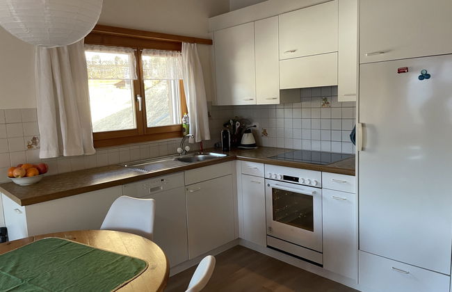 Apartamento de 2 quartos em Schmitten com jardim - Foto 3
