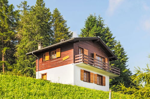 Photo 28 - Maison de 3 chambres à Nendaz avec jardin et terrasse