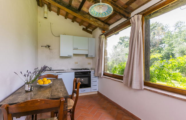 Apartamento de 1 quarto em Sorano com piscina e jardim - Foto 6