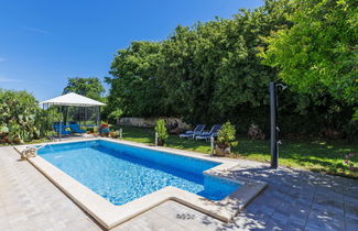 Foto 2 - Haus mit 1 Schlafzimmer in Marčana mit schwimmbad und garten