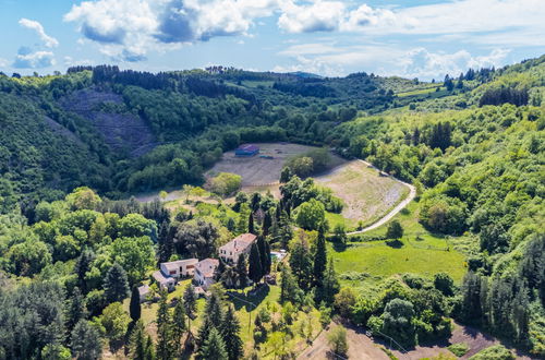 Photo 71 - 10 bedroom House in Greve in Chianti with private pool and garden