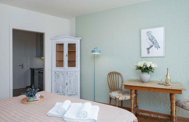 Apartamento de 1 quarto em Ascona - Foto 8