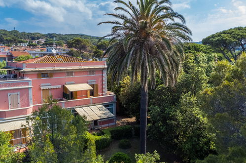 Foto 42 - Appartamento con 2 camere da letto a Rosignano Marittimo con giardino e terrazza