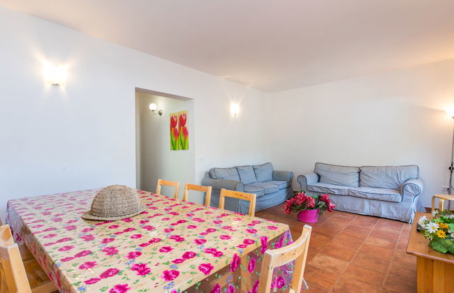 Podere gli Olivi - Foto 8