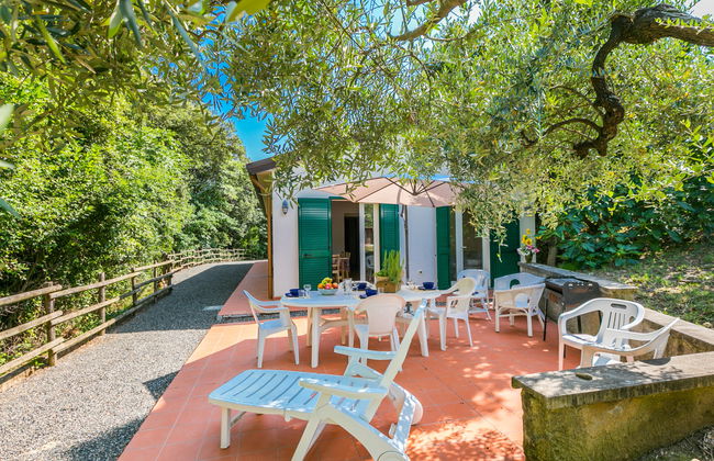 Podere gli Olivi - Foto 1