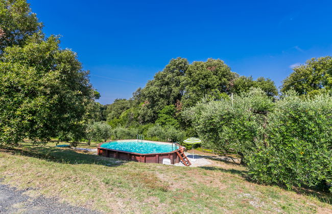 Podere gli Olivi - Foto 31