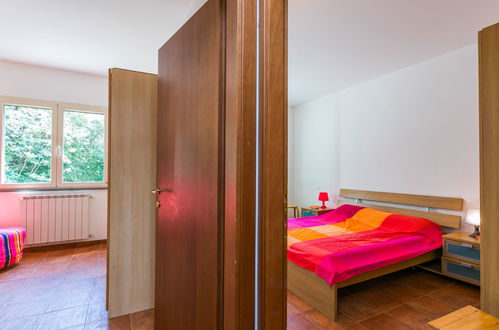 Foto 17 - Casa con 3 camere da letto a Rosignano Marittimo con piscina privata e giardino