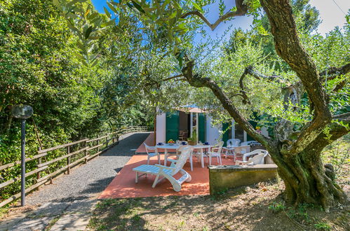 Photo 33 - Maison de 3 chambres à Rosignano Marittimo avec piscine privée et jardin